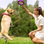 woman playing with dog pet